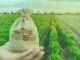 Conheça o Índice Agro Free Float Setorial (IAGRO-FFS)