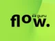 Guru Flow: Semana 20-26 de fevereiro de 2024